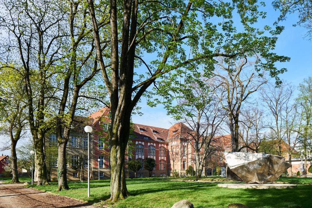 Studiengangskoordinator*in (m/w/d) für englischsprachigen Masterstudiengang / Academic Program Coordinator (50 %) (Teilzeit | Stuttgart)